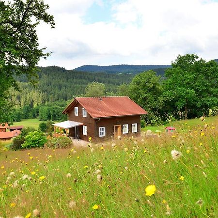 Comfort Apartment With Balcony In The Beautiful Bavarian Forest Drachselsried Kültér fotó