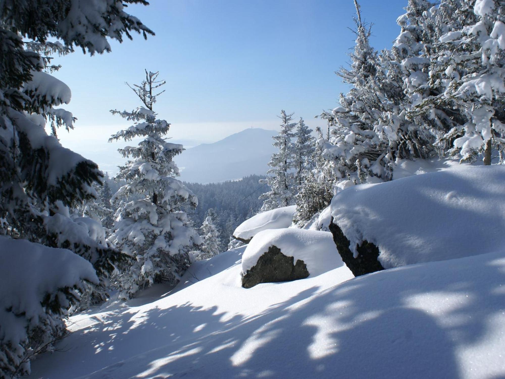 Comfort Apartment With Balcony In The Beautiful Bavarian Forest Drachselsried Kültér fotó