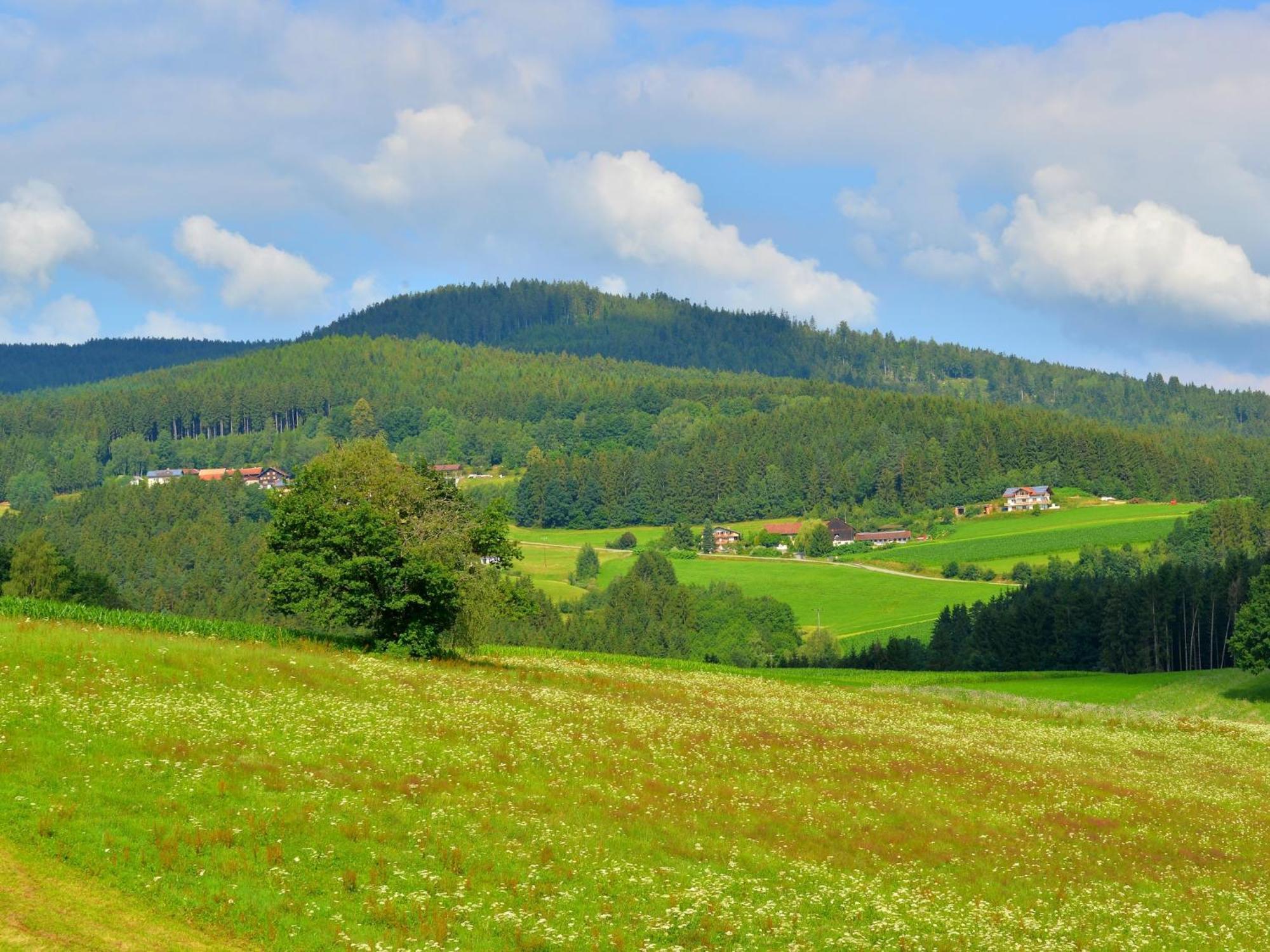 Comfort Apartment With Balcony In The Beautiful Bavarian Forest Drachselsried Kültér fotó