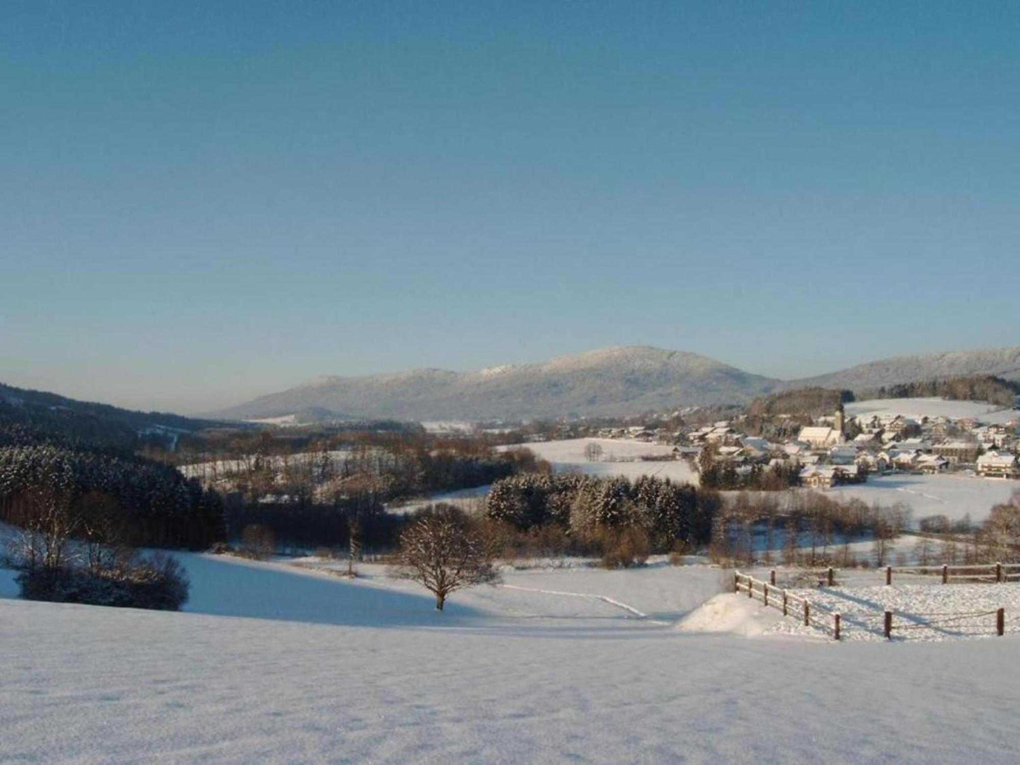 Comfort Apartment With Balcony In The Beautiful Bavarian Forest Drachselsried Kültér fotó