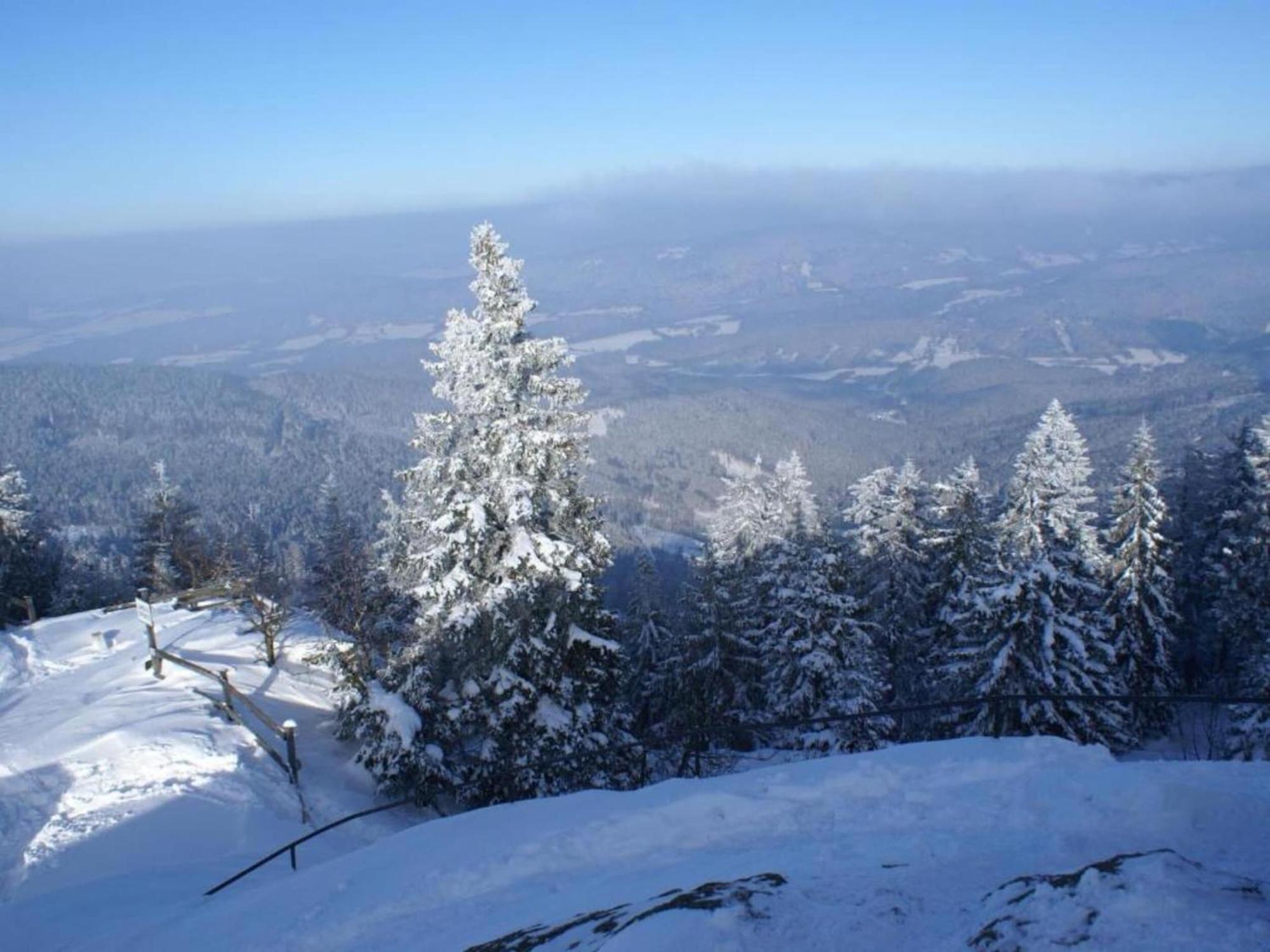 Comfort Apartment With Balcony In The Beautiful Bavarian Forest Drachselsried Kültér fotó