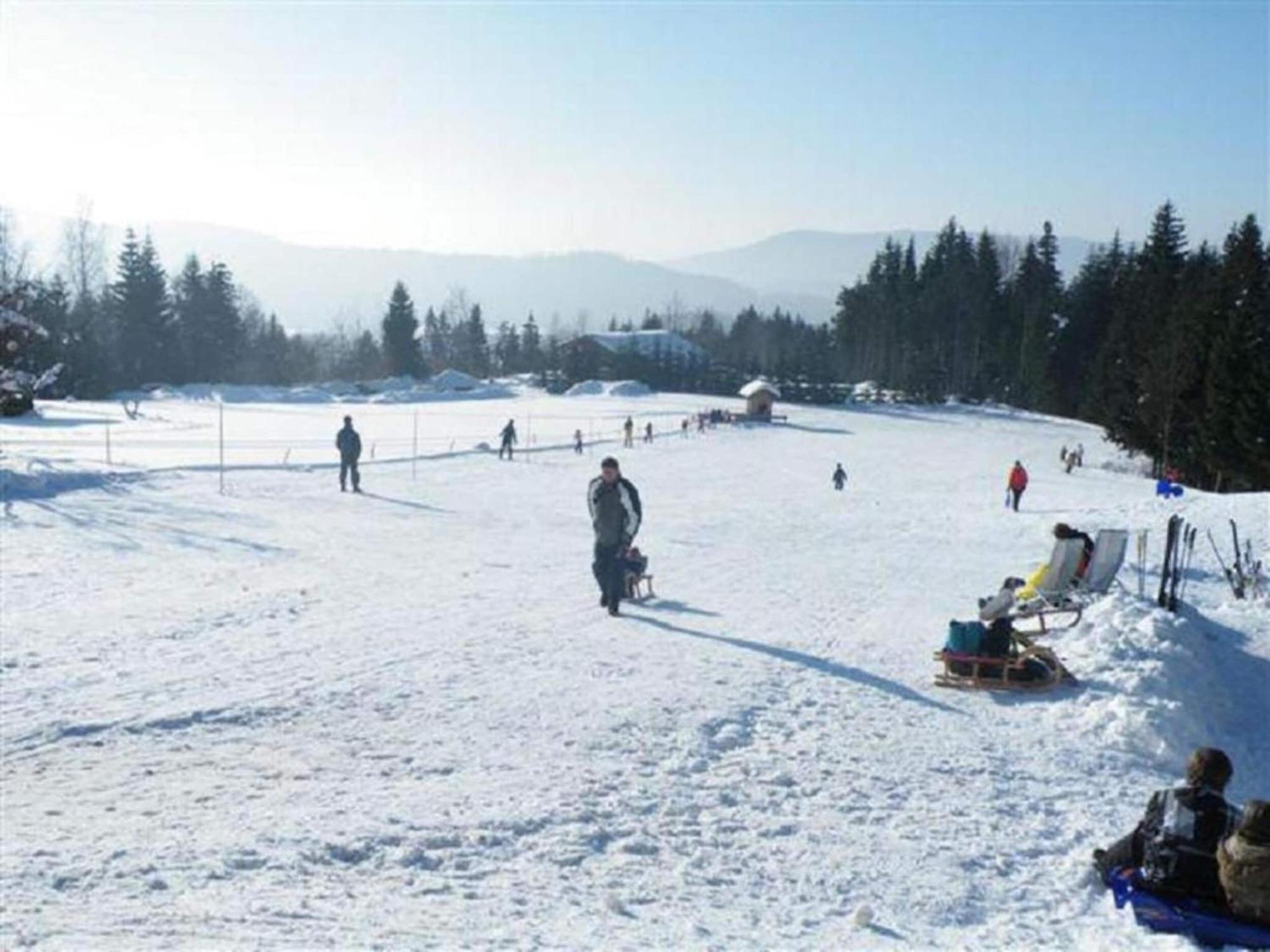 Comfort Apartment With Balcony In The Beautiful Bavarian Forest Drachselsried Kültér fotó