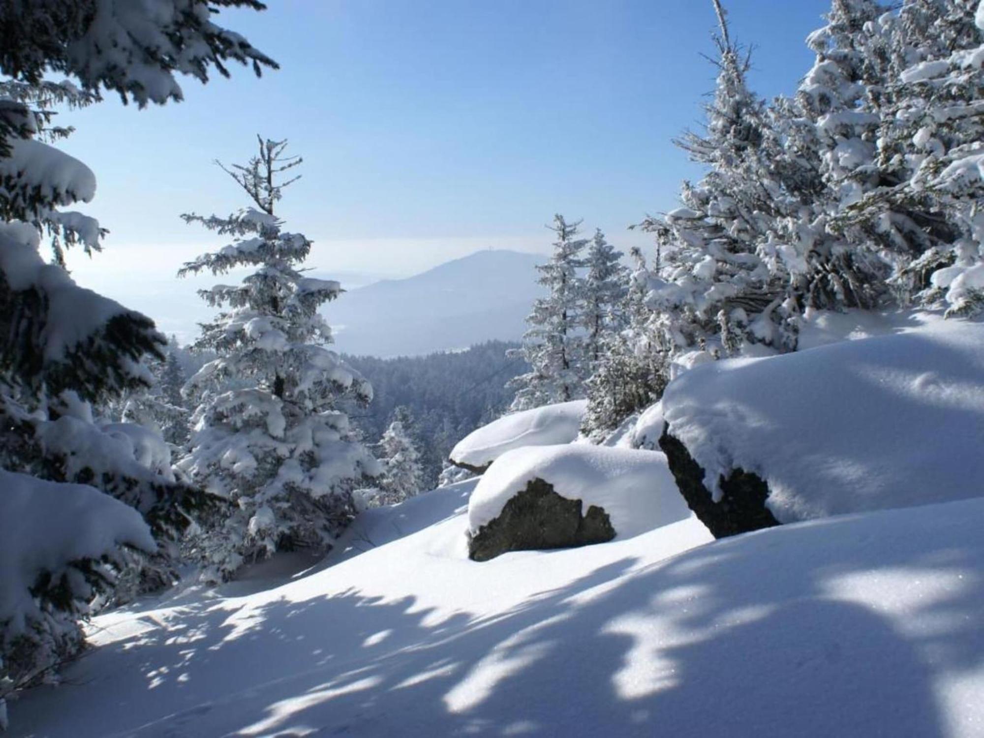 Comfort Apartment With Balcony In The Beautiful Bavarian Forest Drachselsried Kültér fotó