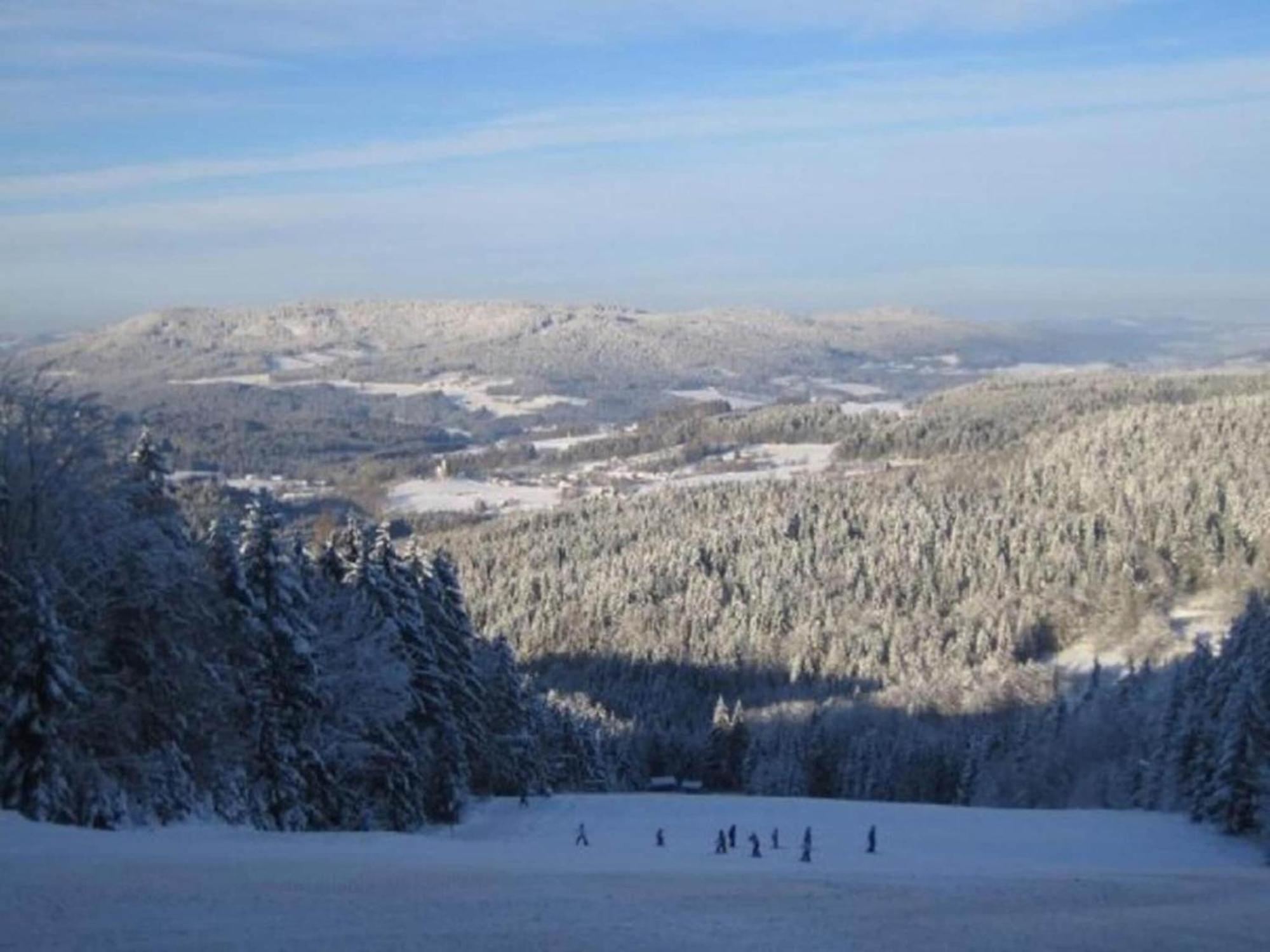 Comfort Apartment With Balcony In The Beautiful Bavarian Forest Drachselsried Kültér fotó